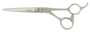 SS-60